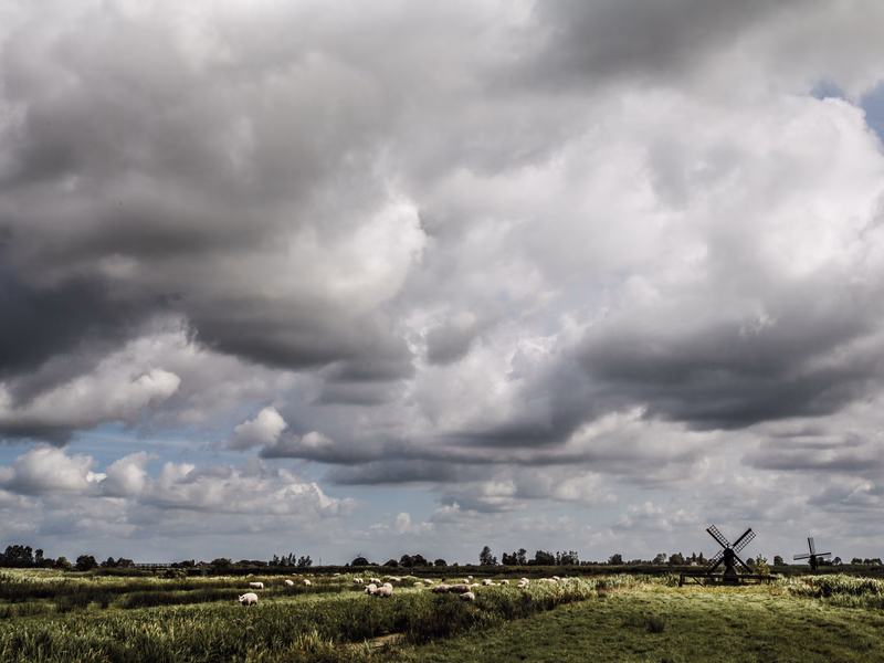 Netherlands - Photo 3
