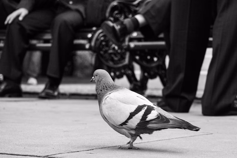 London - Photo 5