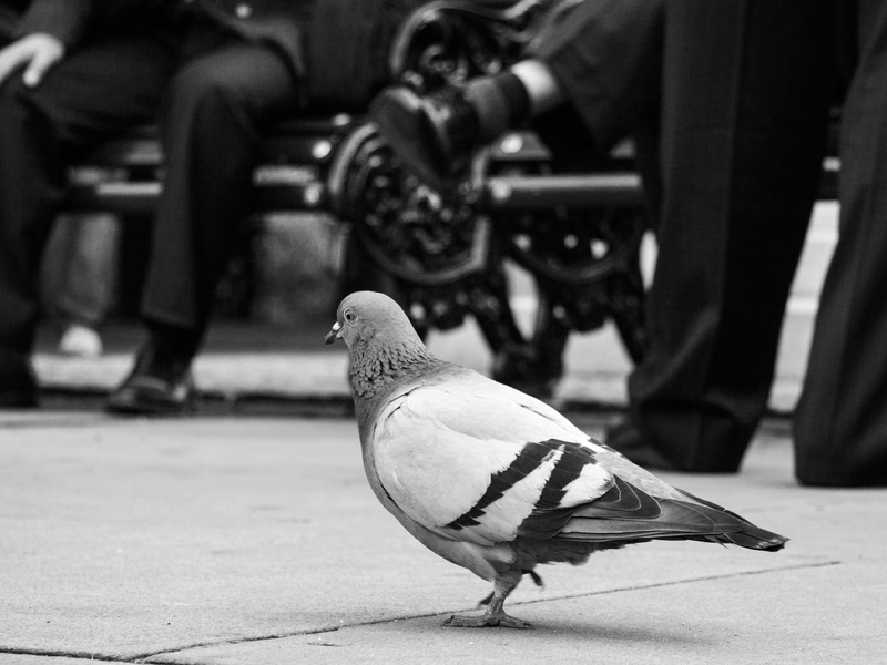 London - Photo 5