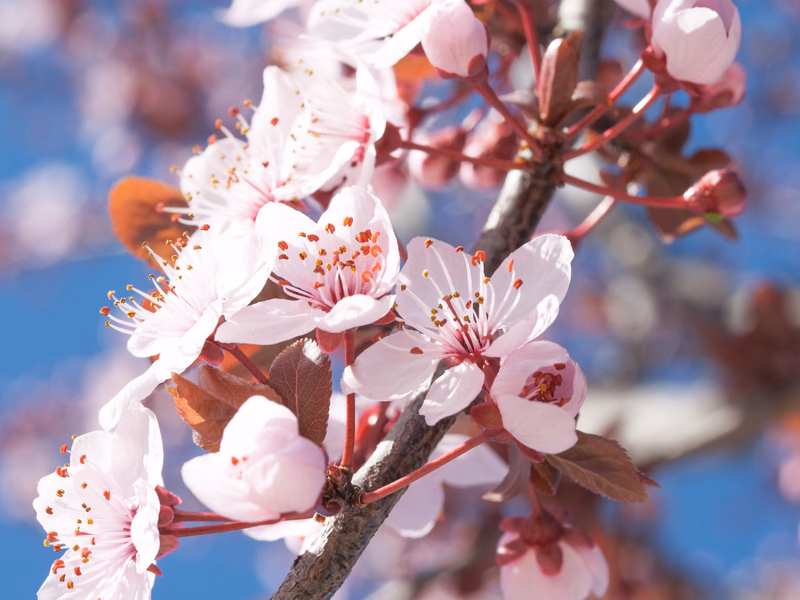 Miscellaneous - Photo 7