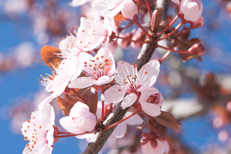 Miscellaneous - Photo 7