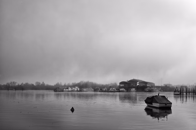 Lake - Photo 10