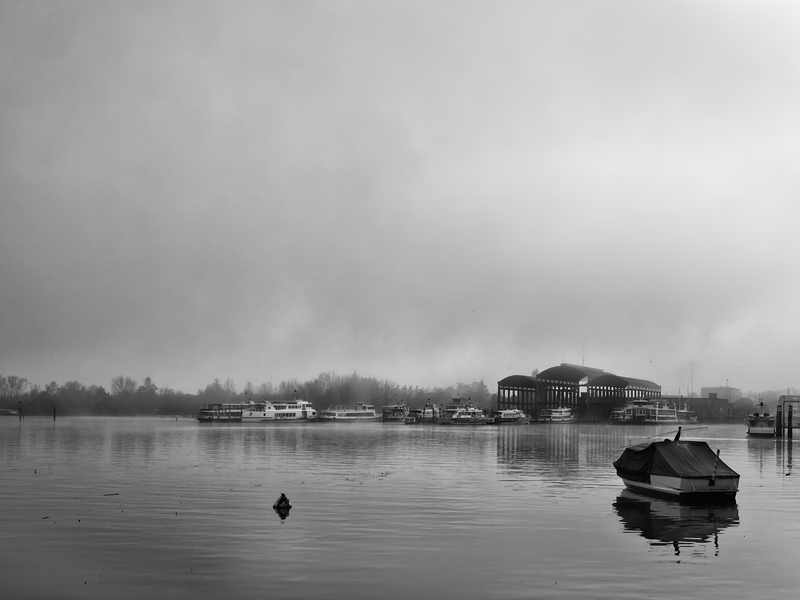 Lake - Photo 10