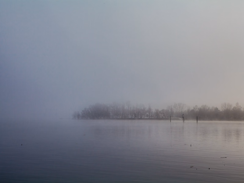 Lake - Photo 11