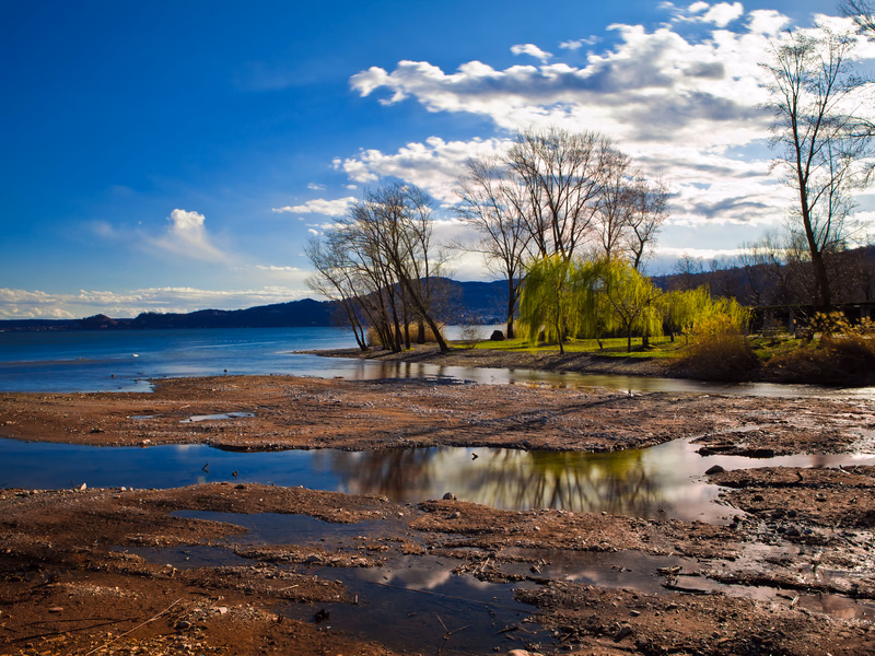 Lake - Photo 17