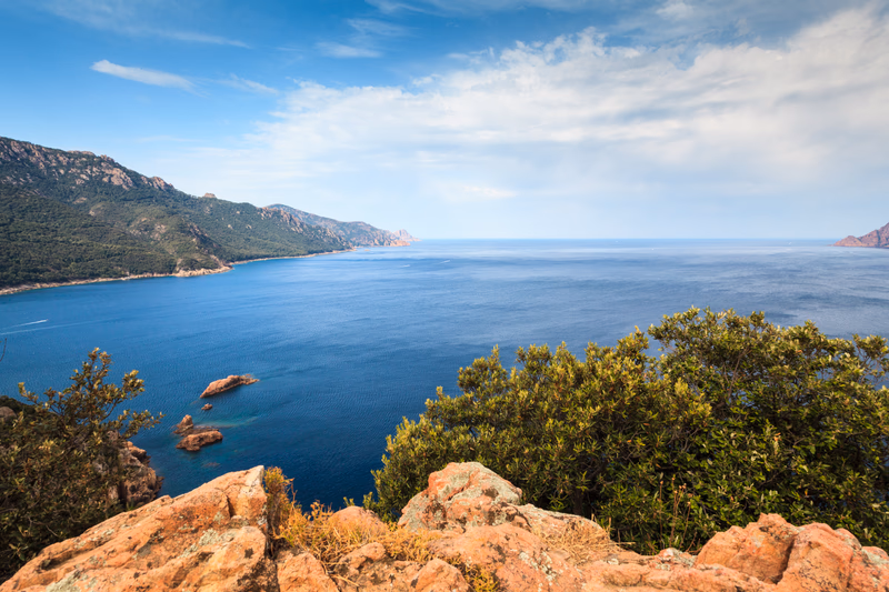 Corsica - Photo 13