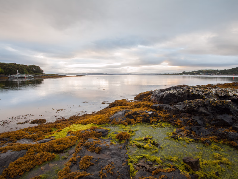Scotland - Photo 4
