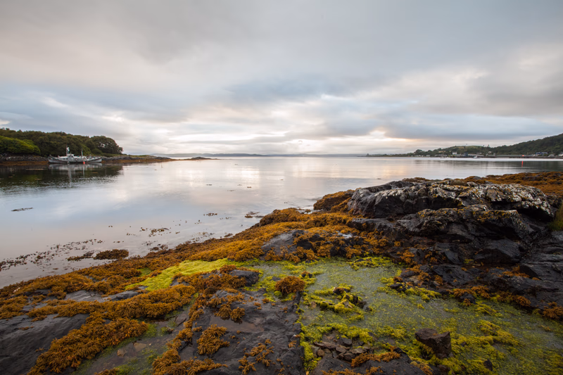 Scotland - Photo 4