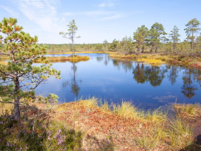 Estonia - Photo 3