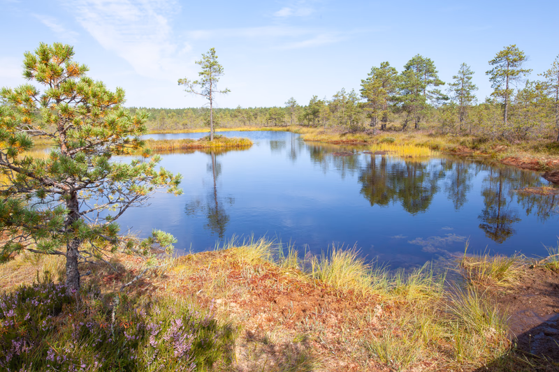 Estonia - Photo 3