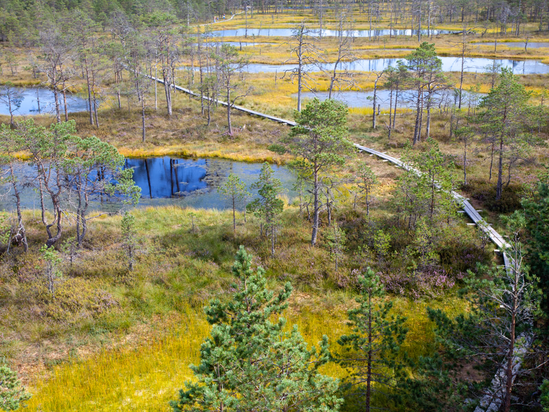 Estonia - Photo 4