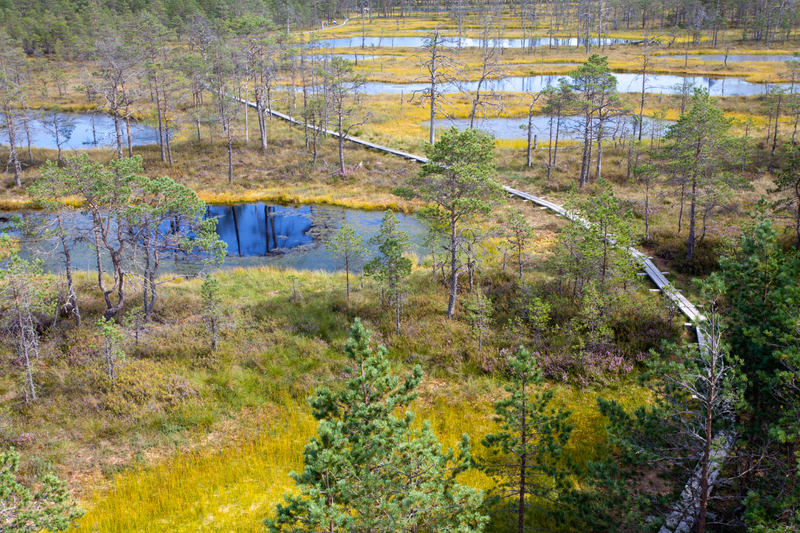 Estonia - Photo 4