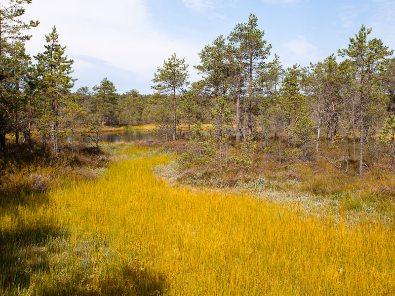 Estonia - Photo 6