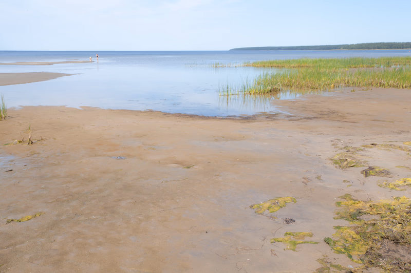 Estonia - Photo 7