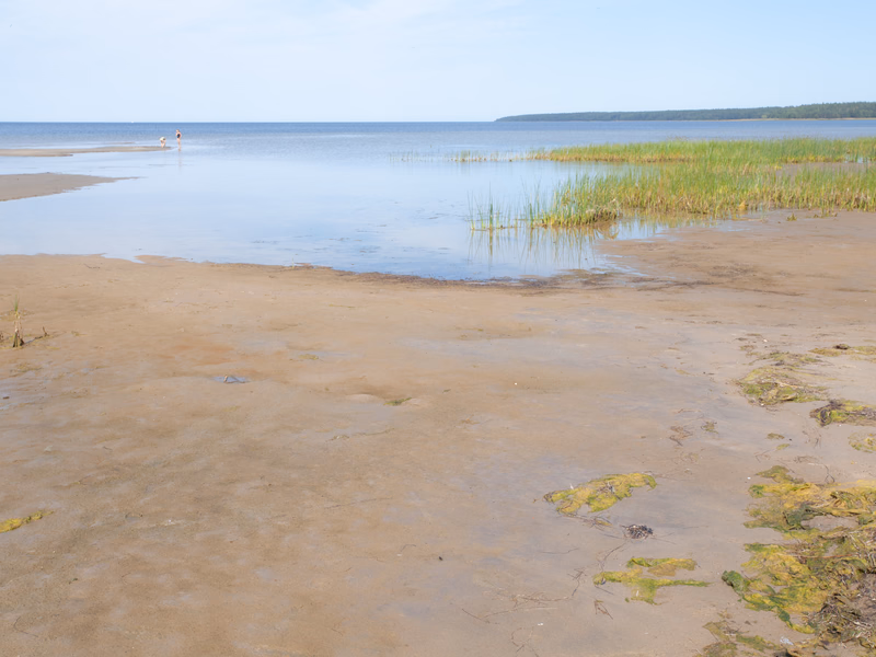 Estonia - Photo 7