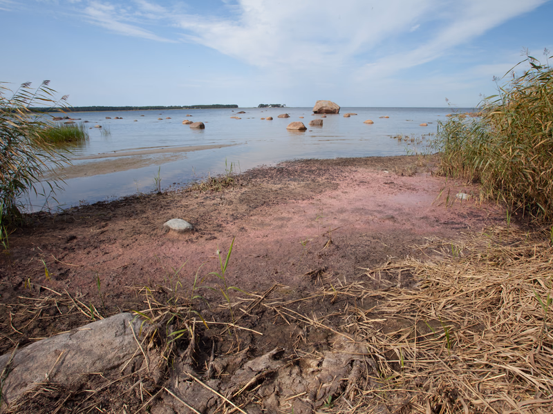 Estonia - Photo 9
