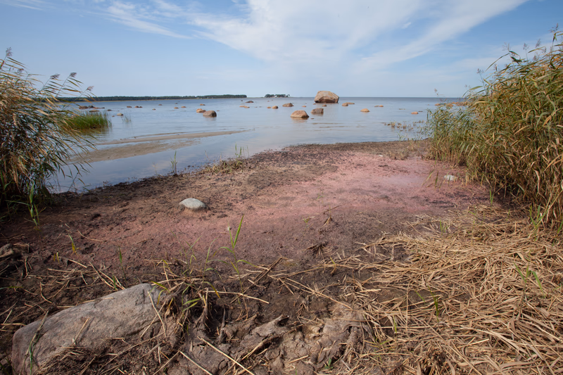 Estonia - Photo 9