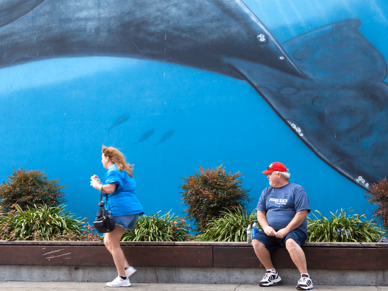 USA Cities - Photo 4