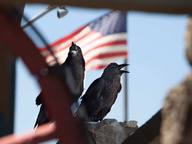 USA Wilderness - Photo 10