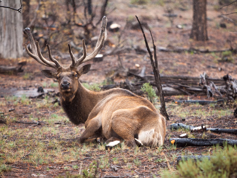 USA Wilderness - Photo 22