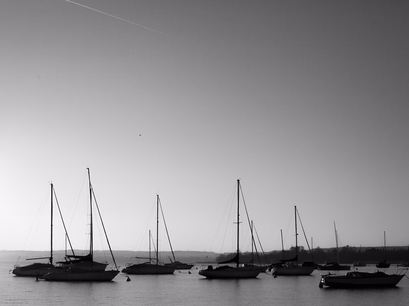 Lake - Photo 25