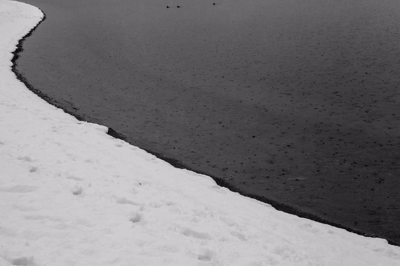 Lake - Photo 29