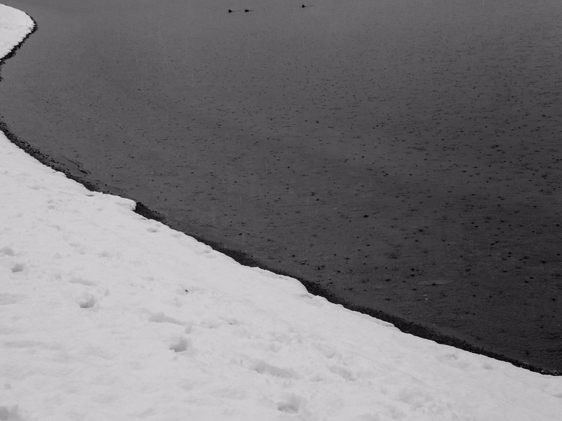 Lake - Photo 29
