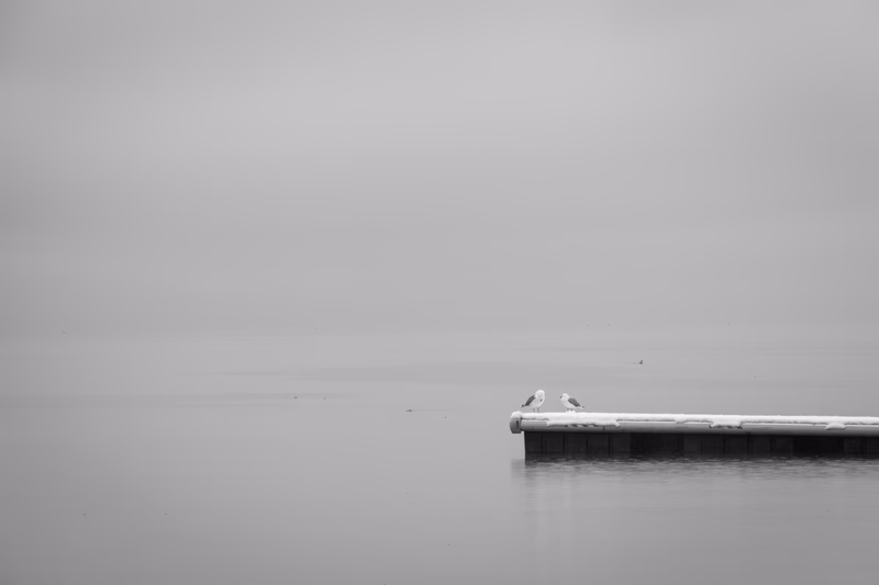 Lake - Photo 30