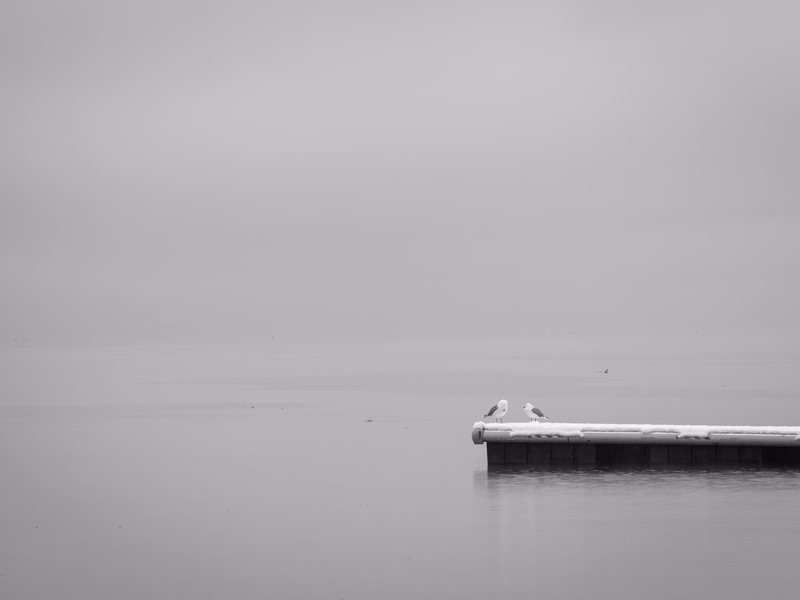 Lake - Photo 30