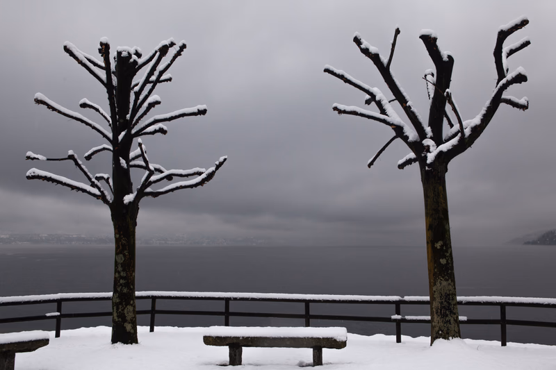 Lake - Photo 32