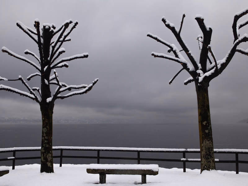 Lake - Photo 32