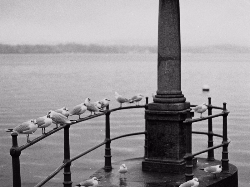 Film - Photo 4