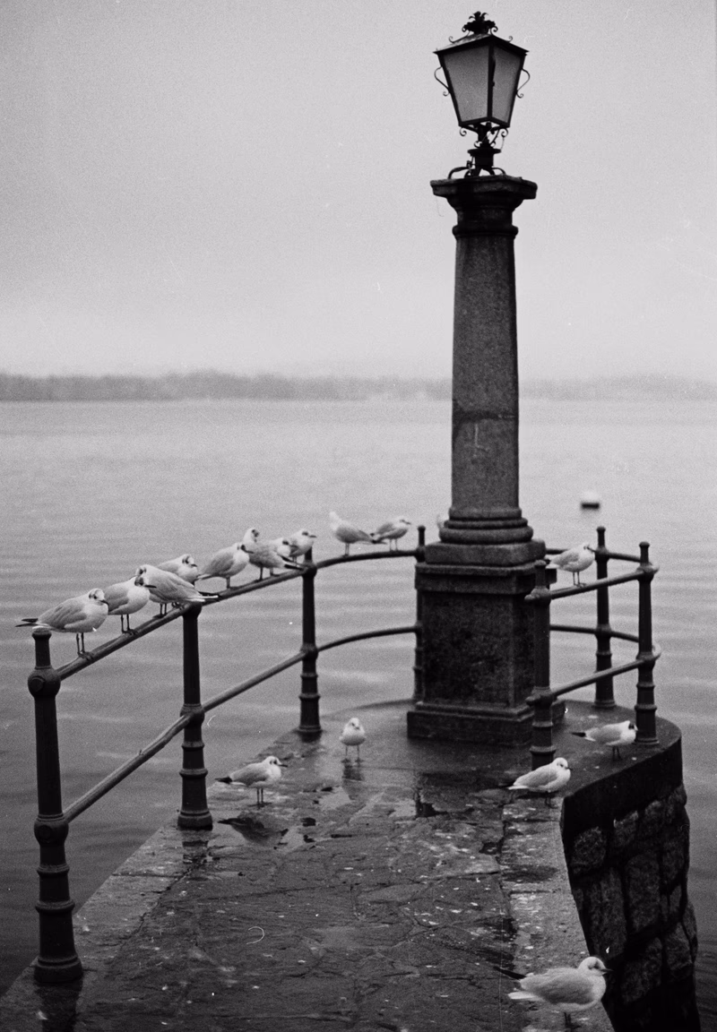 Film - Photo 4