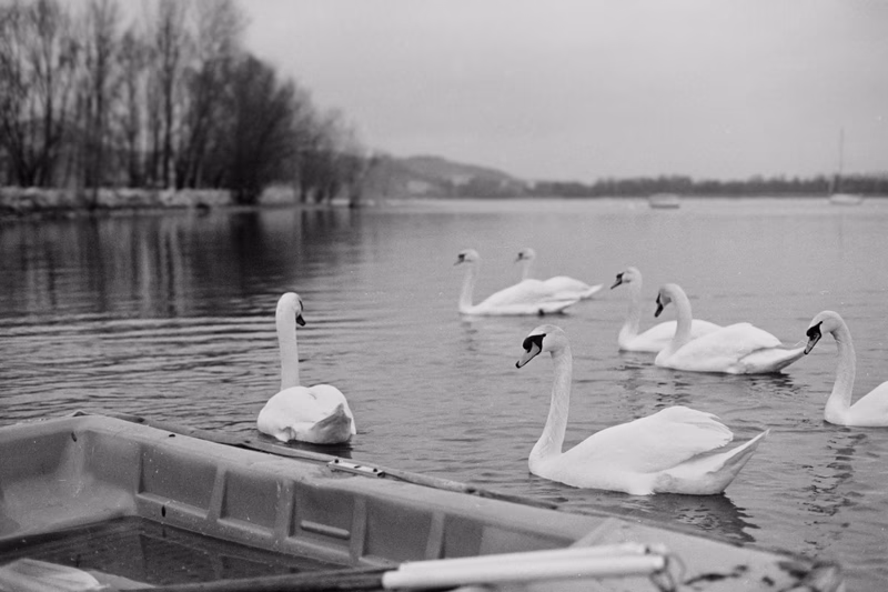 Film - Photo 10