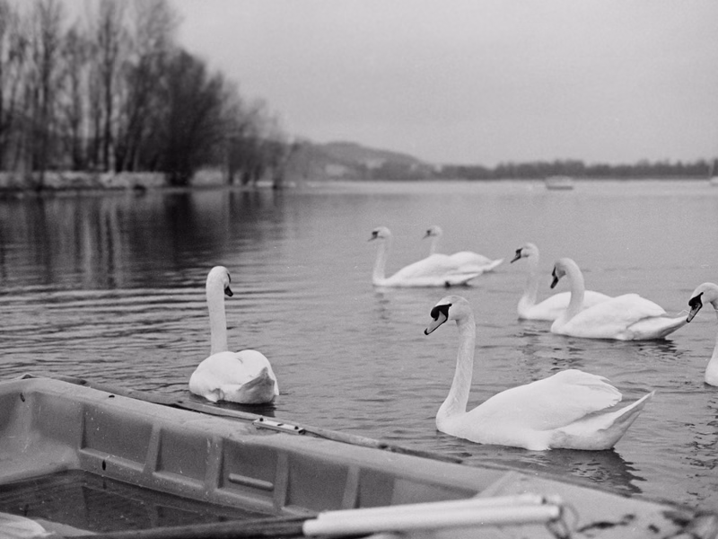 Film - Photo 10