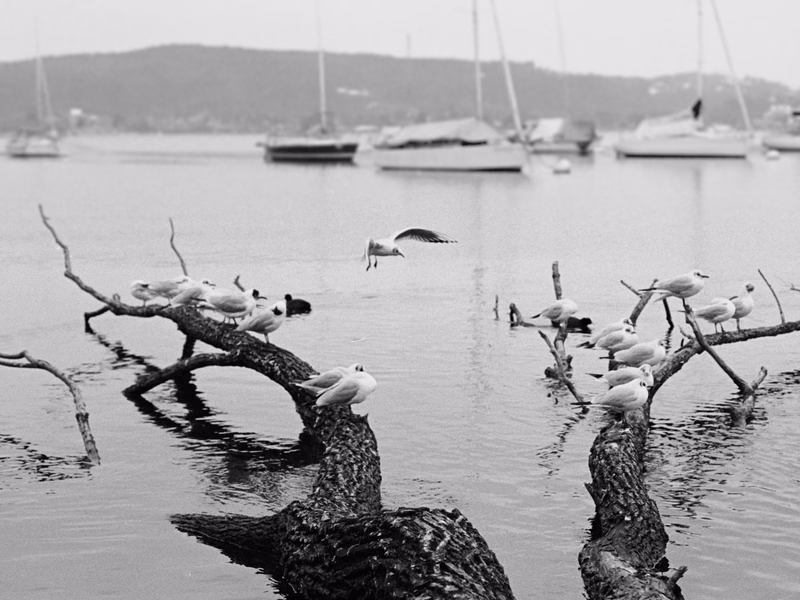 Film - Photo 14