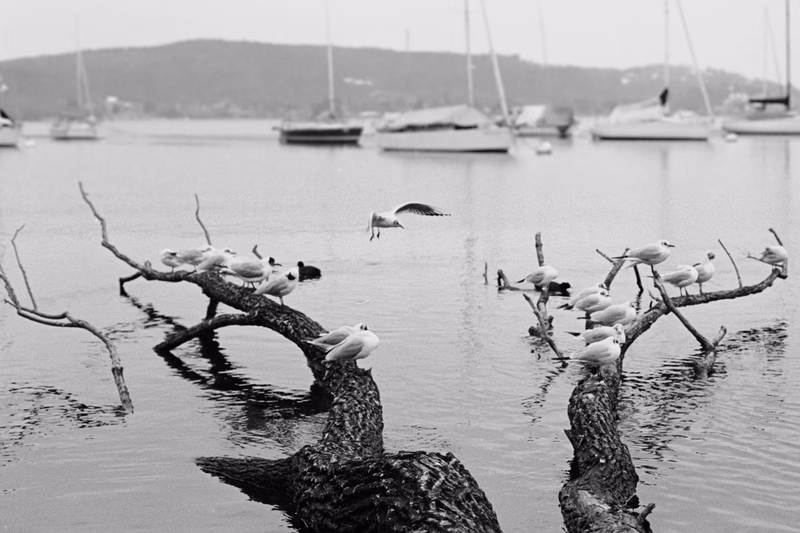 Film - Photo 14